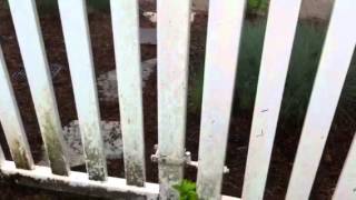 Cleaning Vinyl Fence
