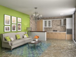 Unlimited Professional Services water damage